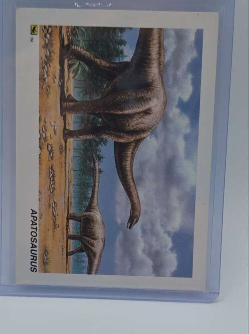 Vintage 1992 DinoCardz #35 Apatosaurus Collector Card